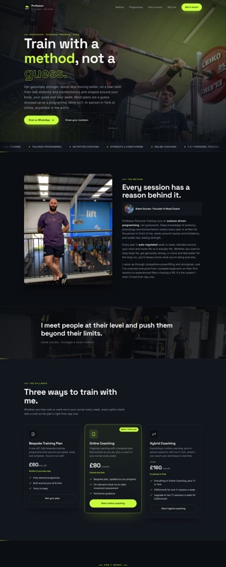 The Professor Personal Training website we built
